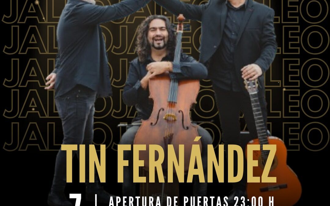 Concierto Tin Fernández