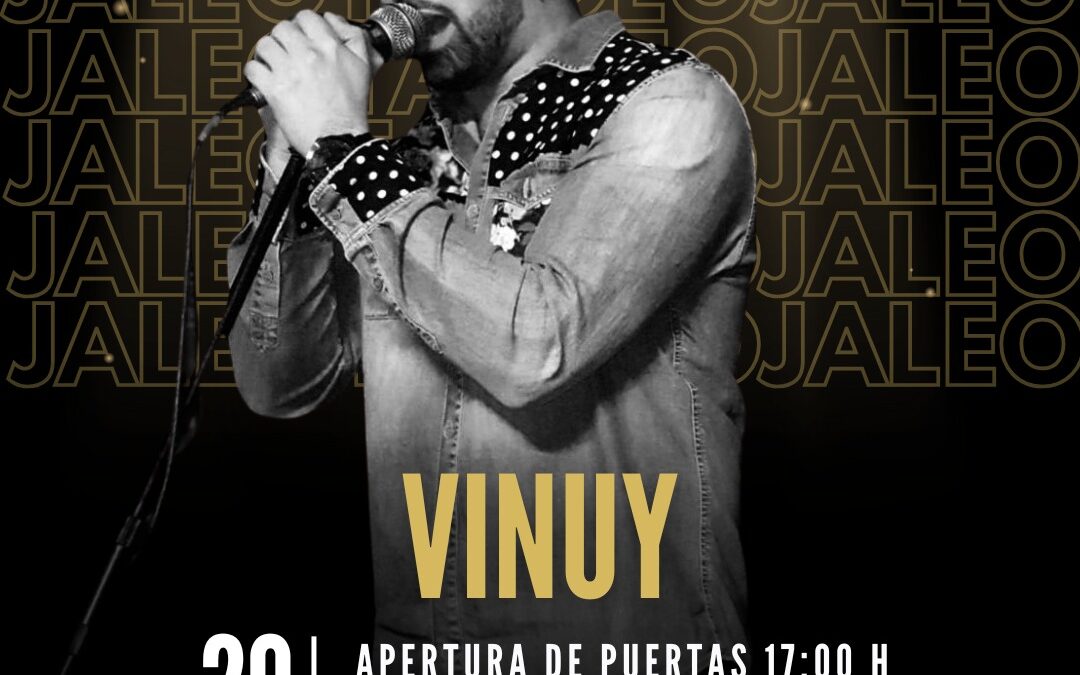 Concierto Vinuy